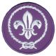 Promessa Scout internazionale WOSM